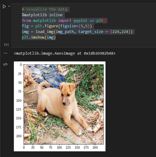 image-20220622105403560